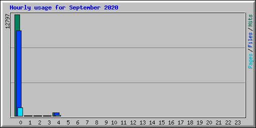 Hourly usage for September 2020